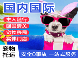 屯溪机场邮寄国际宠物托运 【国